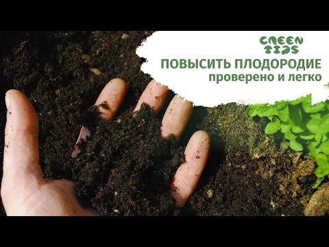 Видео: Почва - как повысить плодородие почвы