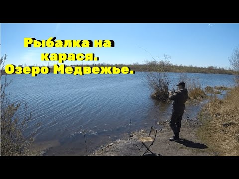 Видео: Рыбалка на карася на озере Медвежье. Рыбалка на фидер!