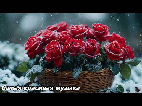Видео: Музыка для души🌿Можно слушать вечно🌿Лучшие композиции Сергея Грищука #3