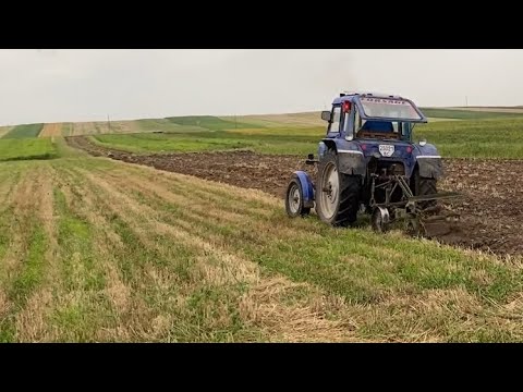 Видео: Таку оранку не стидно і людям показати‼️Оранка стерні МТЗ 80❌