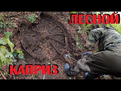 Видео: ✔️КОП МЕТАЛЛА — НЕОБЪЯТНЫЕ КРАЯ И КРУПНЫЕ НАХОДКИ ИЗ ЛЕСНОЙ ГЛУШИ!
