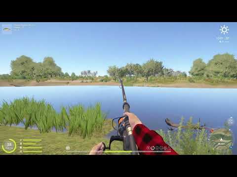 Видео: Russian Fishing 4. Русская рыбалка 4. Trophy beluga 632,503kg. Трофейная белуга 632,503кг