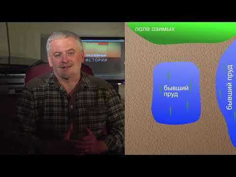 Видео: Охотничьи истории. Сезон 3. Охота с гончими на лису