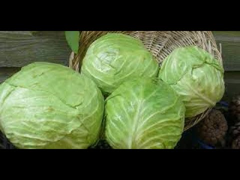 Видео: Как оригинально приготовить капусту с курицей. Ну очень вкусный рецепт.
