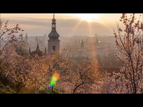 Видео: Прекрасная Прага (прогулка)