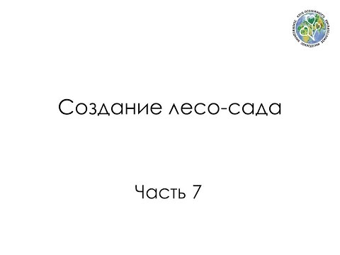 Видео: Создание лесо-сада