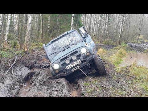 Видео: Off-road ноябрь 2023 год