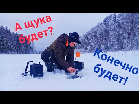 Видео: Рыбалка - это же КРУТО! Мы снова ловим зимних РЫБ. Жерлицы и мормышка, всё в деле. Болен РЫБАЛКОЙ.