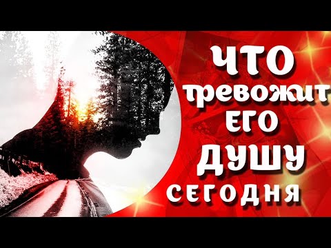Видео: Что Терзает душу Вашего Мужчины 🪬❤️#таро #мыслимужчинытаро #tarot