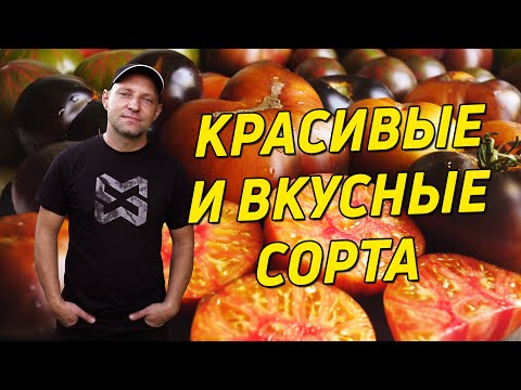 Видео: ВКУСНЫЕ И КРАСИВЫЕ СОРТА ТОМАТОВ ДЛЯ ВАШЕГО ОГОРОДА!