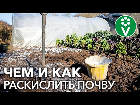 Видео: 3 ПРАВИЛА РАСКИСЛЕНИЯ ПОЧВЫ ВЕСНОЙ. Используем известковые удобрения с умом