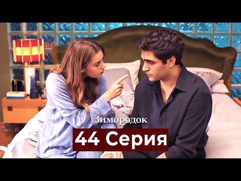 Видео: Зимородок 44 Cерия (Русский дубляж)