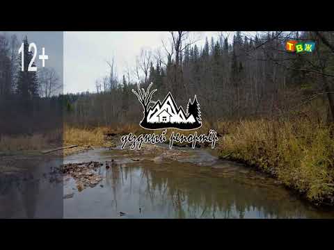 Видео: Урочище Воробьи