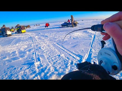 Видео: СУДАК В КАЖДОЙ ЛУНКЕ! А ПОД ВЕЧЕР БЫЛ ХАПОК! Ловля судака на Оби, водохранилище. Рыбалка 2024