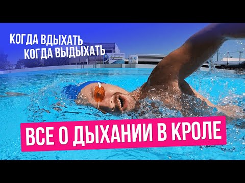 Видео: Как правильно дышать в кроле ТЕХНИКА + ОШИБКИ