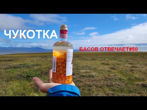 Видео: Чукотка. Басов отвечает #50