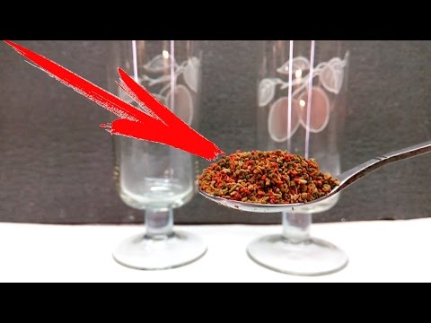 Видео: ТЕТРА ПРОТИВ ДЕШЕВОГО КОРМА!!! БИТВА ТИТАНА!!!