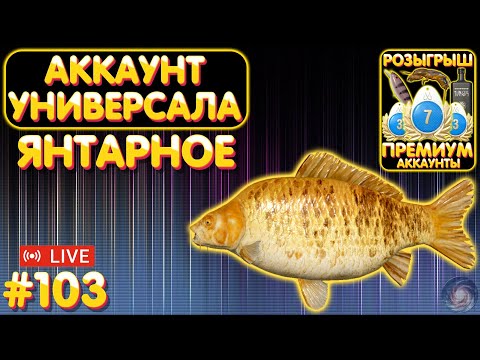 Видео: Янтарное 🔥 ПРЕМЫ и ЗОЛОТО в Телеге и на Trovo 🎁 Аккаунт универсала #103 🔥 Русская Рыбалка 4 #1138