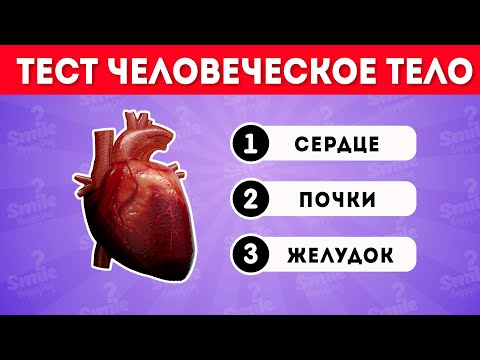 Видео: Как много вы знаете о человеческом теле? / Smile HappyDay