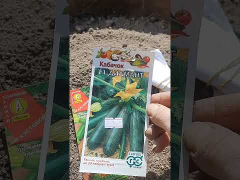 Видео: Конец апреля. Заморозки. Обогрев теплиц.