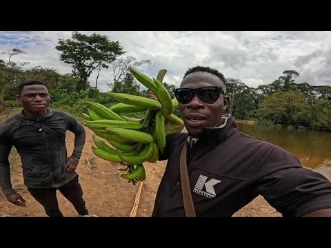 Видео: НЕВИДИМАЯ ДЕРЕВЕНСКАЯ ЖИЗНЬ