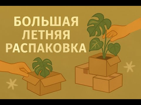 Видео: БОЛЬШАЯ ЛЕТНЯЯ РАСПАКОВКА