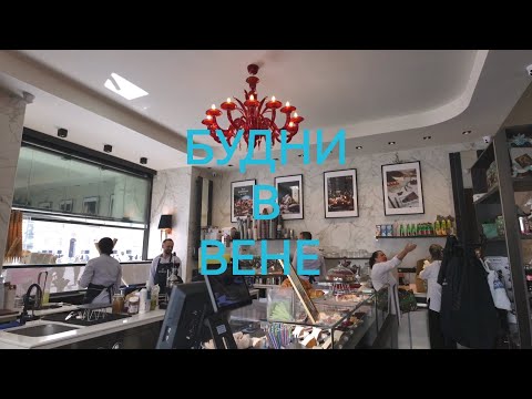 Видео: РЕКОМЕНДУЮ ❤️🇦🇹✈️🛩️🌏СТРИМ В ВЕНЕ