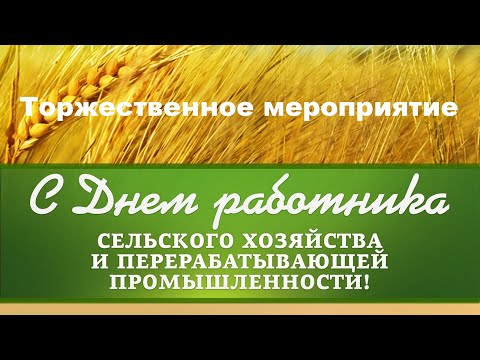 Видео: Торжественное мероприятие 22.11.2024