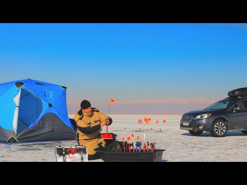 Видео: ДВА ДНЯ РЫБАЛКИ НА ЛЬДУ! ЖЕРЛИЦЫ ТРЕЩАТ! Готовим БЕСБАРМАҚ. Рыбалка в КАЗАХСТАНЕ!