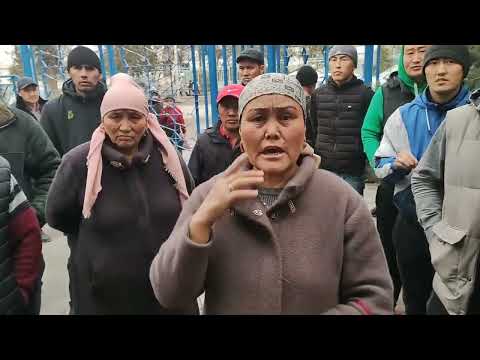 Видео: Ноокат районунун спецхоз айылы