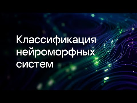 Видео: Классификация нейроморфных систем. Денис Ларионов