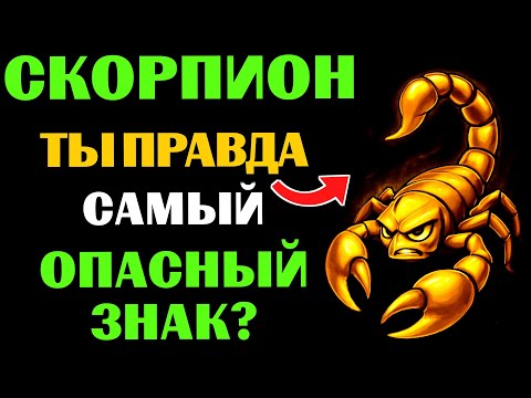 Видео: 😱22 признака того, что 🦂СКОРПИОН самый опасный знак зодиака. 😨Это о тебе❓