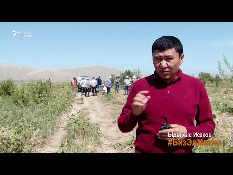 Видео: Керкидан Өзбекстанга кандай шартта өткөн?