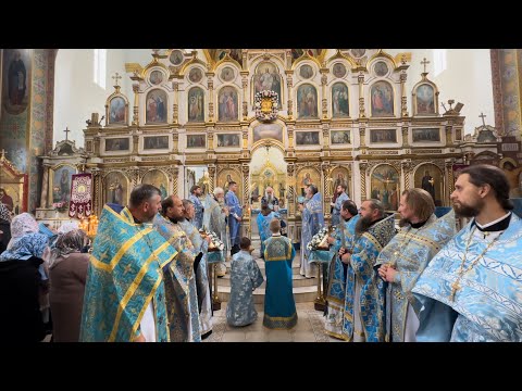 Видео: 🔴🙏 Фрагмент Божественної літургії в день храмового свята Покрову Пресвятої Богородиці с. Залісці