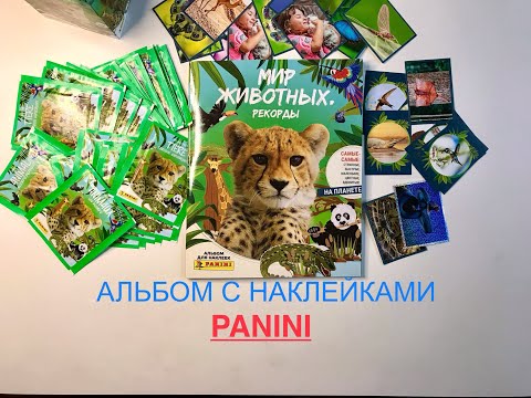 Видео: Окунёмся в прошлое журнал с наклейками PANINI, Мир Животных рекорды!