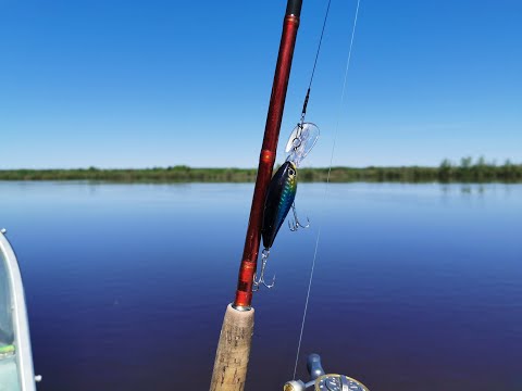 Видео: Рыбалка на реке Тавда в мае 2022 г