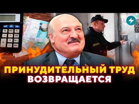 Видео: Тунеядцам приготовиться! За кем придут и что делать? / Народ спросит