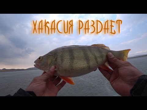 Видео: ПОСЛЕДНИЙ ЛЕД | ХАКАСИЯ РАЗДАЕТ