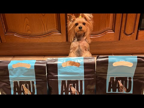 Видео: Покупки из зоомагазина // Зоопокупки для йорка // Всё подорожало