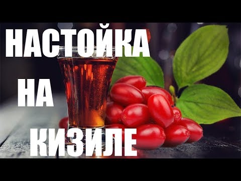 Видео: Настойка на кизиле #1. Начало.