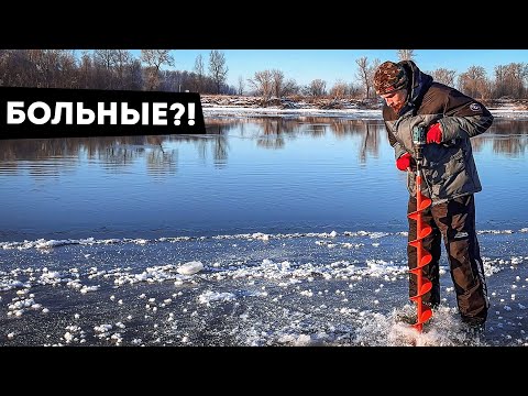 Видео: КЛЮЁТ НА КРОМКЕ ЛЬДА! ОПАСНАЯ РЫБАЛКА НА РЕКЕ ОБЬ В ПЕРВОЛЕДЬЕ!