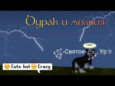 Видео: 🐬КлиП🦈 🤪Дурак И Молния⚡ в "Cat Simulator Animal Life" - BY ＢＯＵＮＴＹ