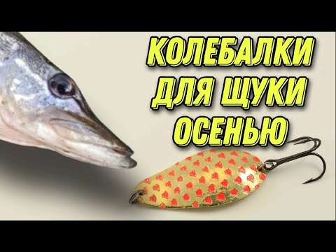 Видео: ЭТИ БЛЁСНЫ РАБОТАЮТ ОСЕНЬЮ! Бюджетные колеблющиеся блесны на щуку осенью