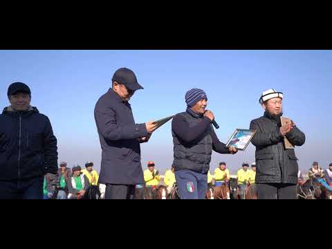 Видео: STUDIO MIR  КОК- БОРУ 83