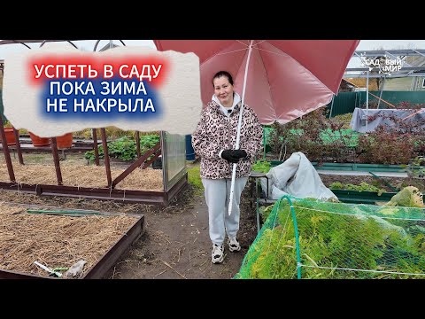 Видео: ОКТЯБРЬ В САДУ. ЧТО УСПЕТЬ СДЕЛАТЬ ДО МОРОЗА И СНЕГА