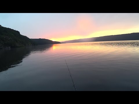Видео: Хороший напарник. Джиг на річці  Дністер.