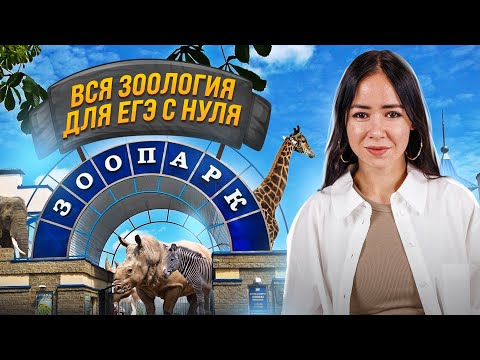 Видео: Вся зоология с нуля | Биология ЕГЭ