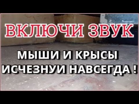 Видео: Звук от мышей и крыс Ультразвук от мышей и крыс Избавьтесь навсегда от мышей и крыс