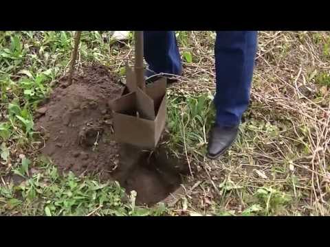 Видео: Инструмент для копки ямок (не бур)