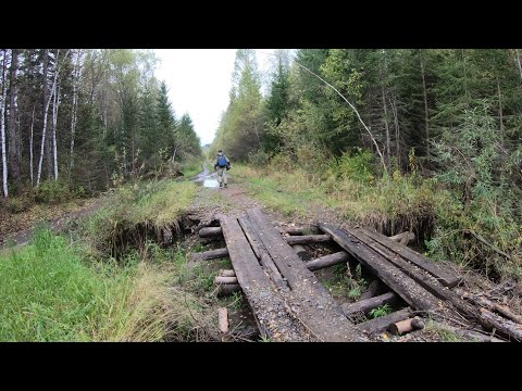 Видео: ЧРЕЗМЕРНО ТРУДОВАЯ РЫБАЛКА! НОГИ ГУДЯТ! ХАРИУС. ТАЙГА.